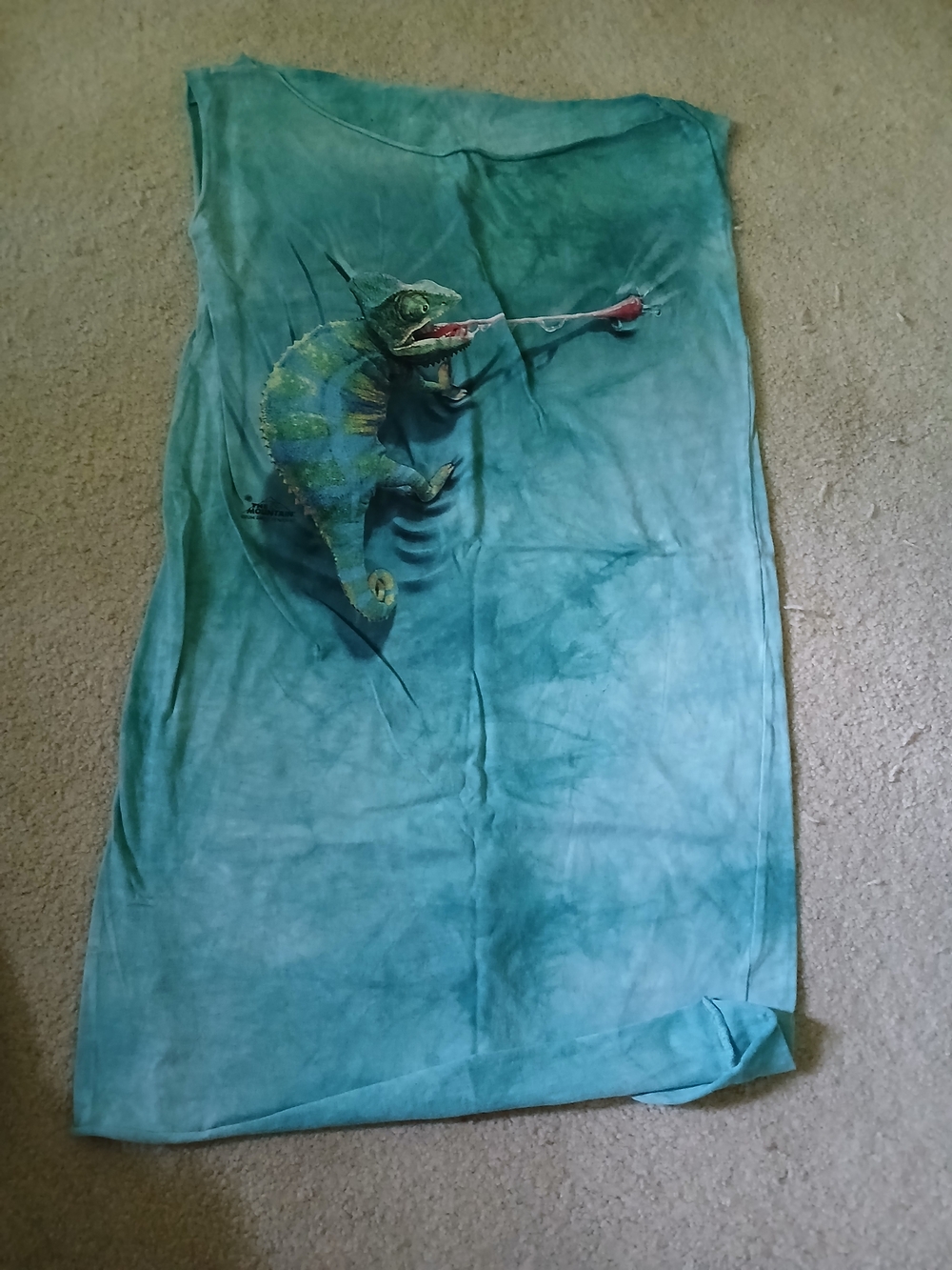 The Mountain Women Dress/tunic In Turquoise